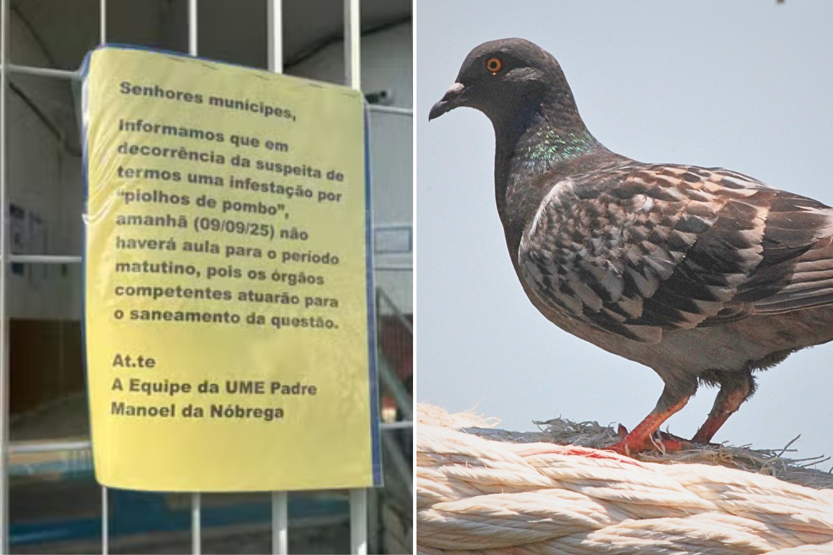 foto Not&iacute;cia Praia Grande