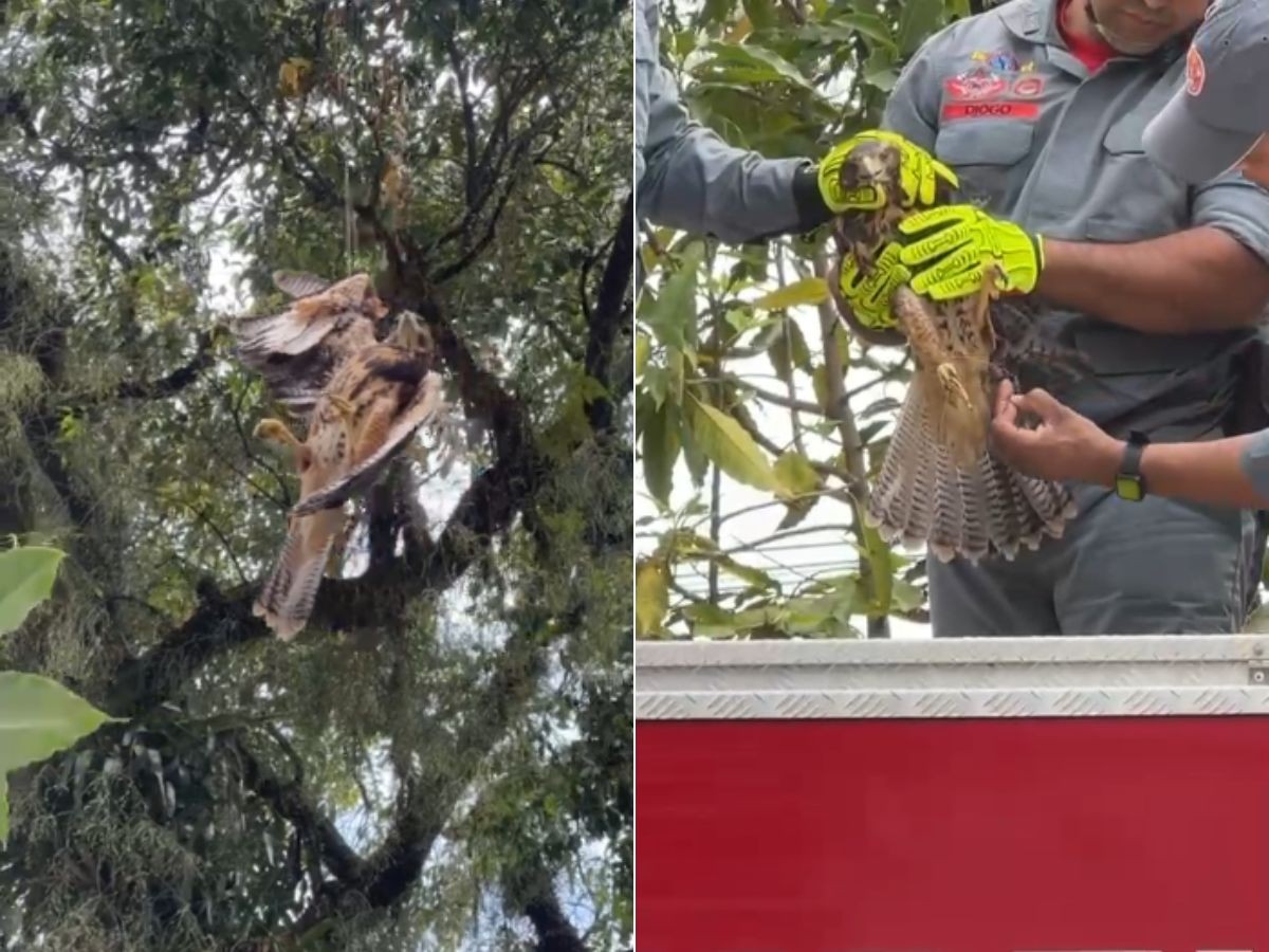 foto Not&iacute;cia Praia Grande