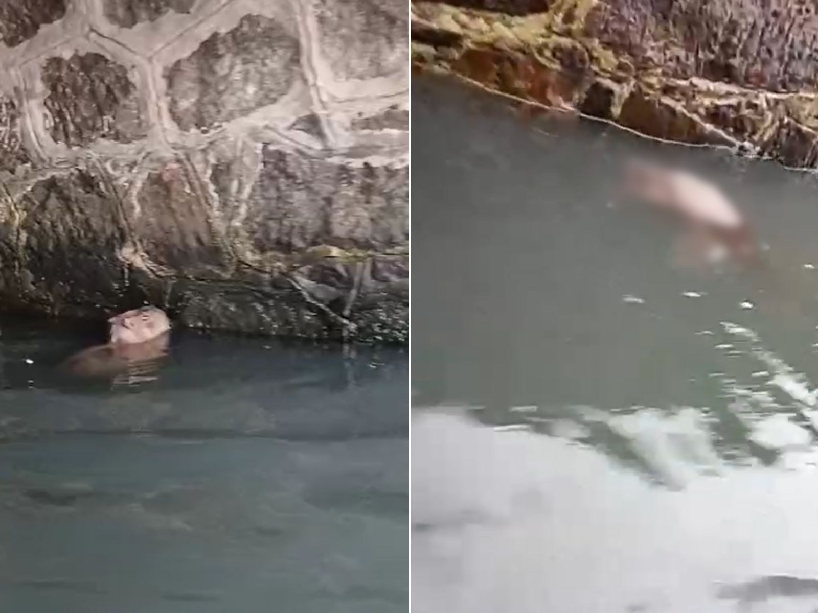 foto Not&iacute;cia Praia Grande